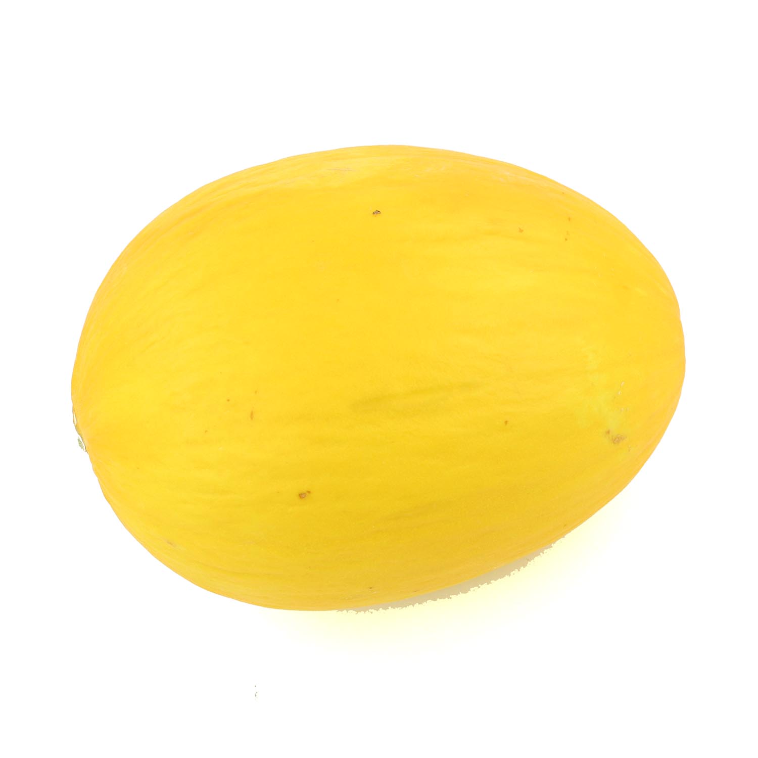 Jumbo Honeydew Melon