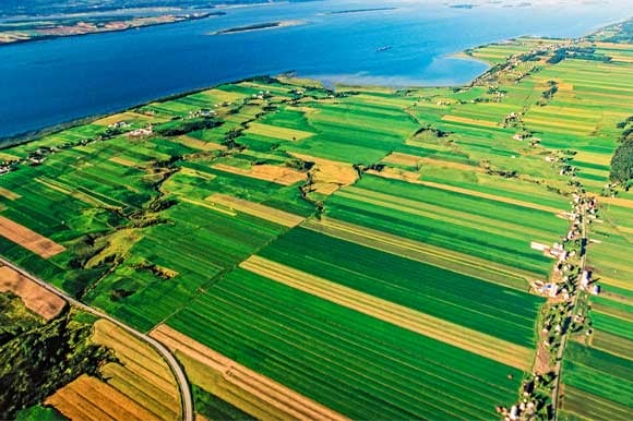 Be part of a growing Quebec company