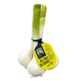 Fresh Garlic
