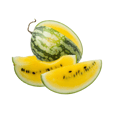 Yellow Watermelon