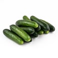 Lebanese Cucumber