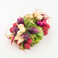 Radish