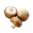 Champignon brun entier