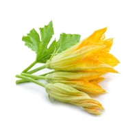 Fleur de zucchini