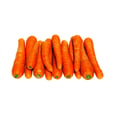 Carrot