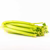 Celery