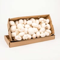 White Mushrooms #1 5 lb