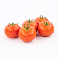 Greenhouse Red Tomatoes
