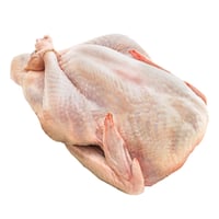 Organic Whole Turkey