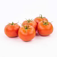 Tomate rouge du Québec