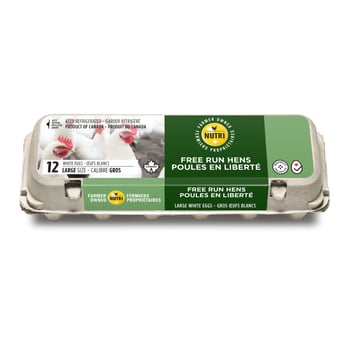 Oeuf gros poules en liberté x12