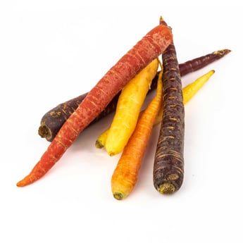 Carottes nantaises de couleurs