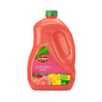 Guava Mango Juice