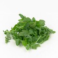 Laitue roquette 907 g