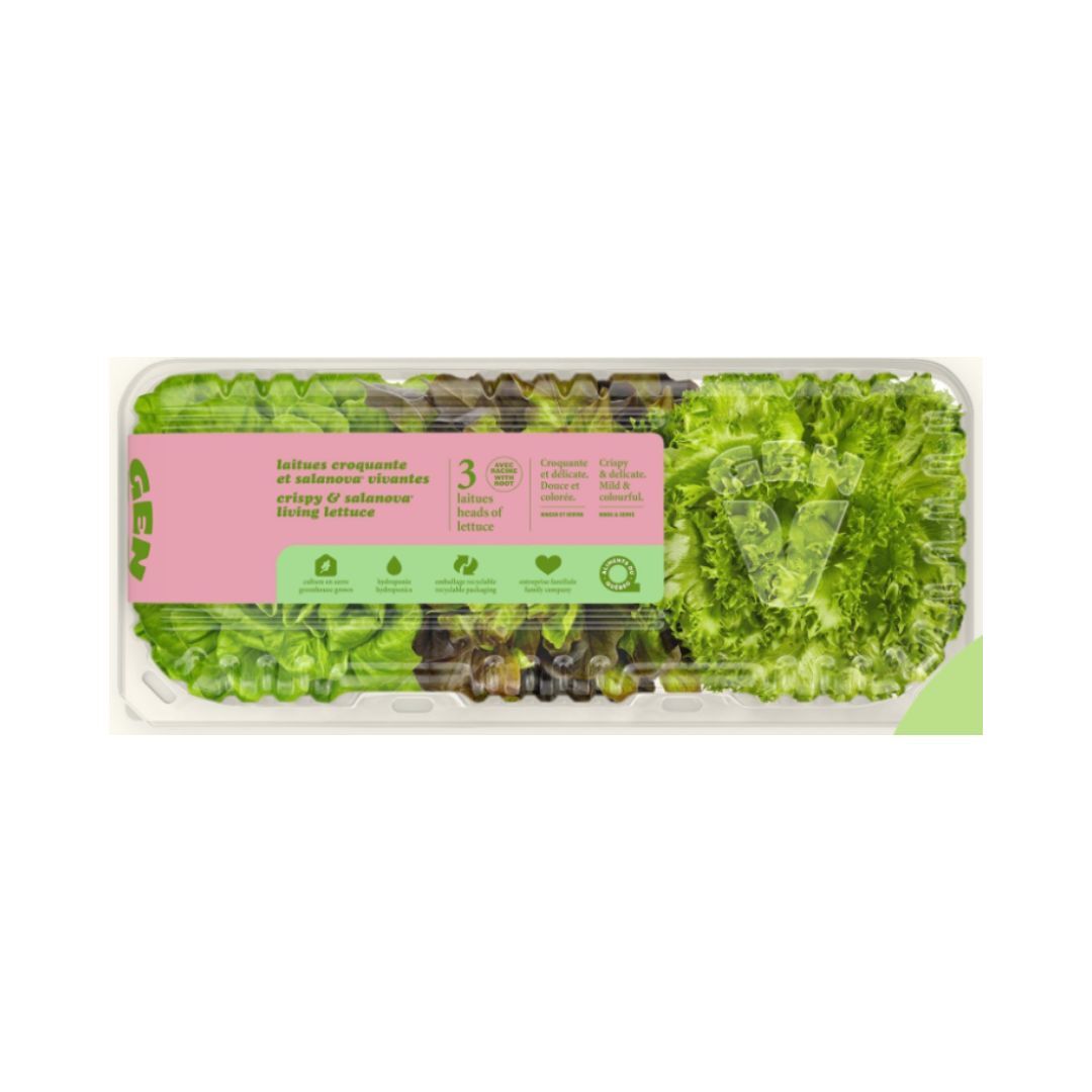 Lettuce Trio