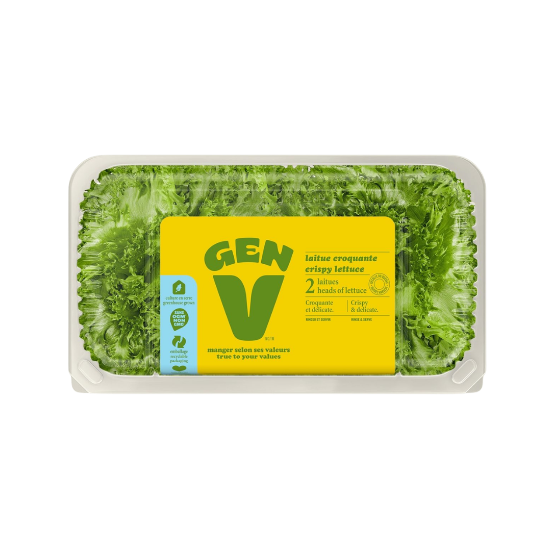 Laitue frisée verte-secondary-image