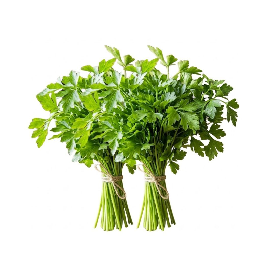 Italian Parsley 2 un