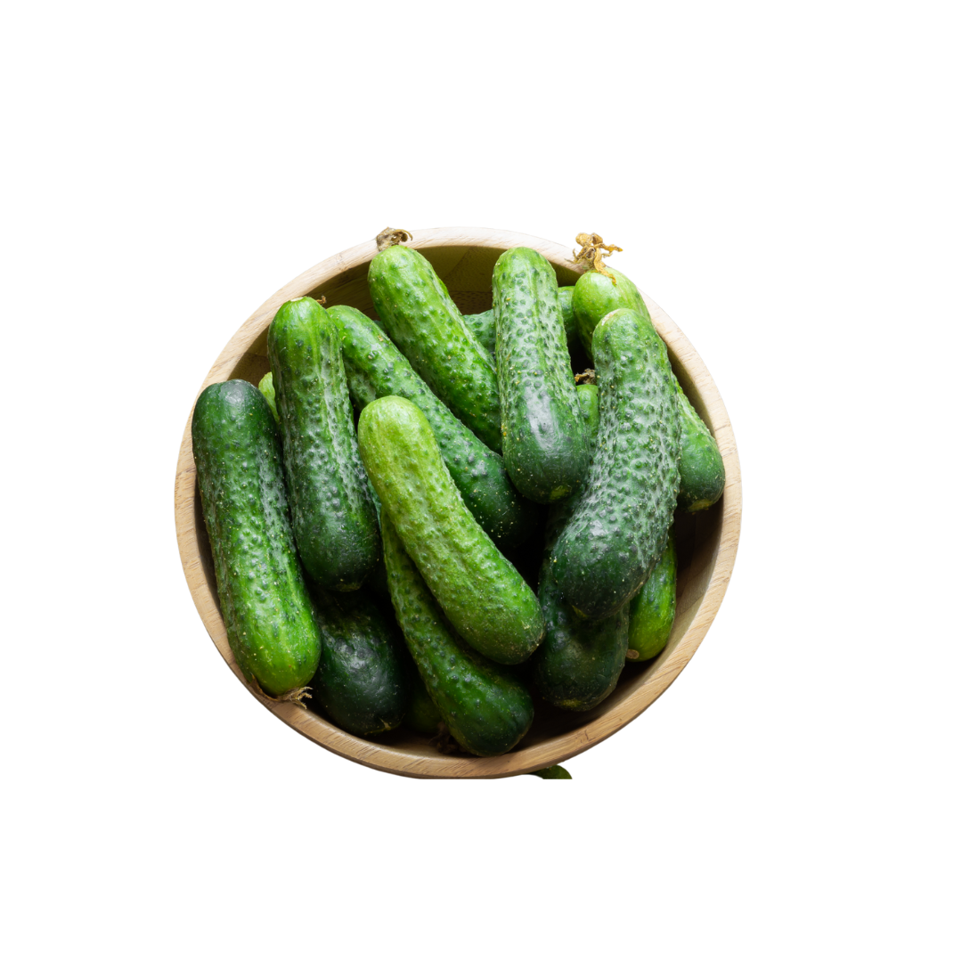 Quebec Pickle