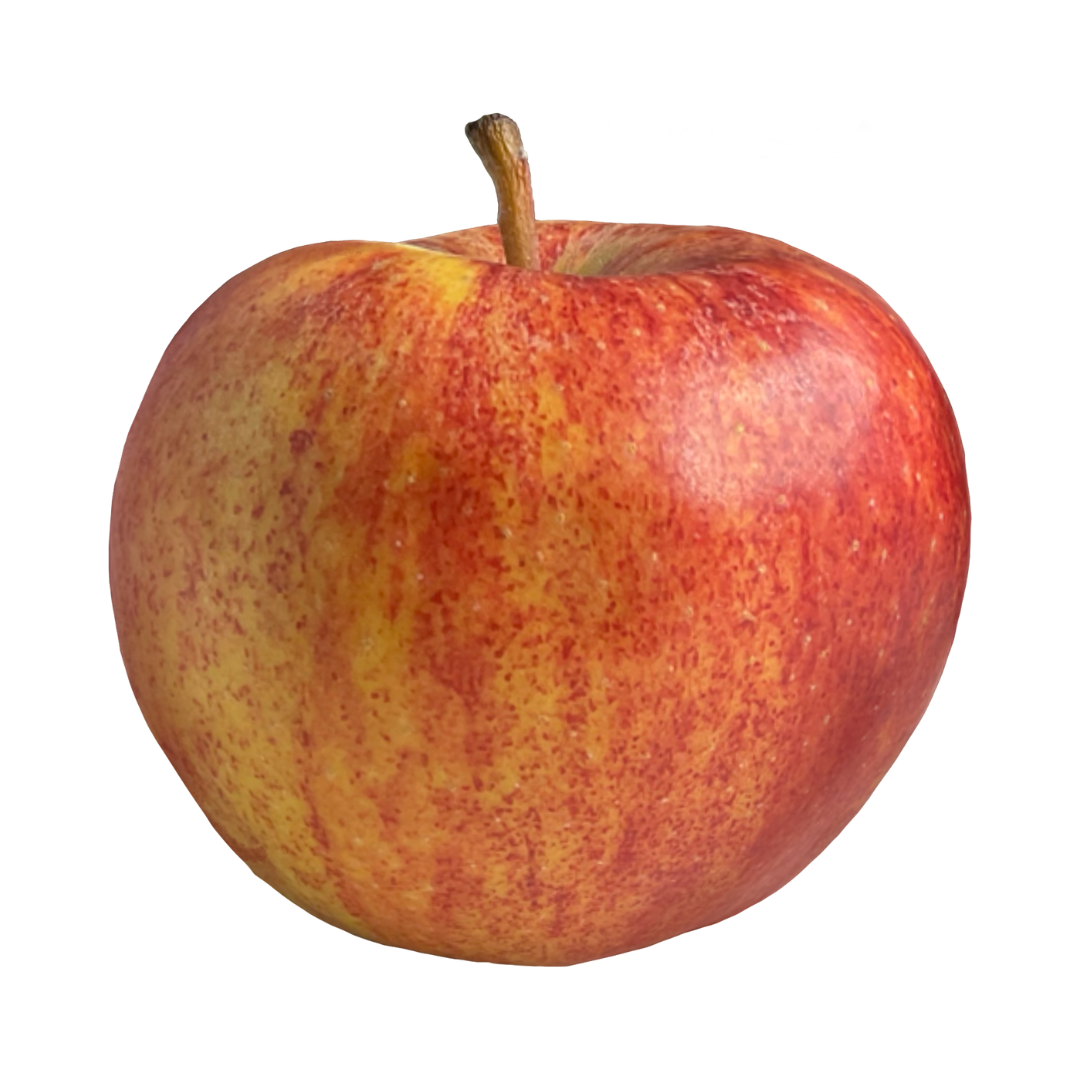 Sunrise Apple