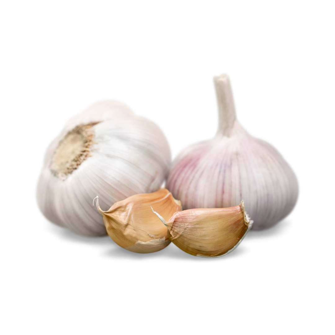 Garlic from Quebec