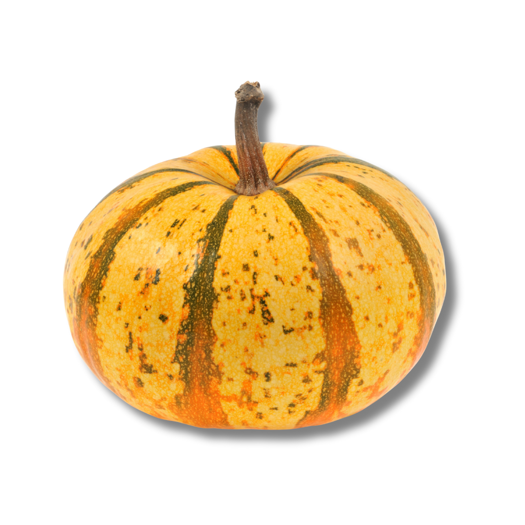 Spaghetti squash un
