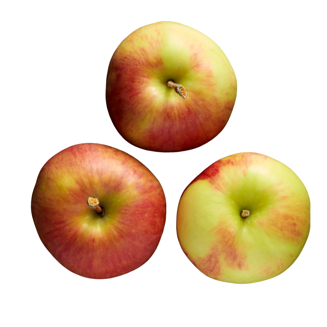 Ambrosia Apple