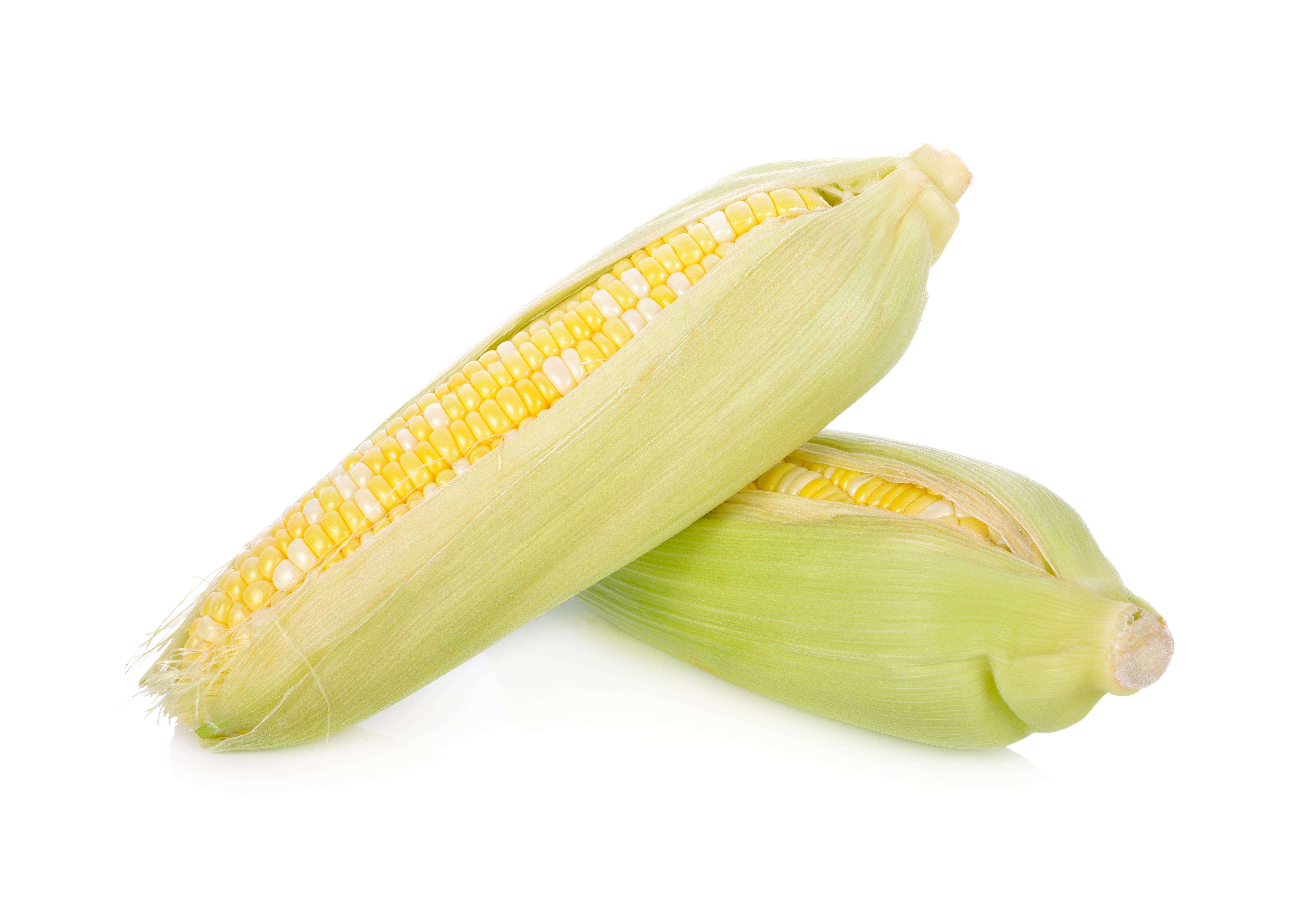 Bicolor Corn