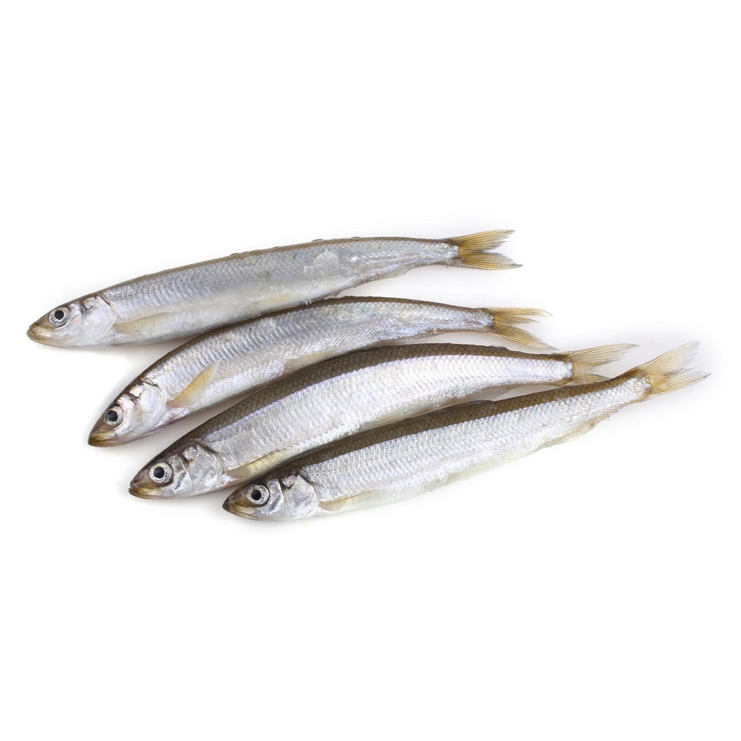 Fresh Whole Smelt