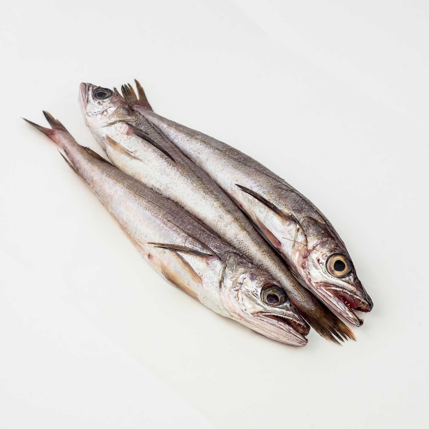 Whole Fresh Whiting 300 g