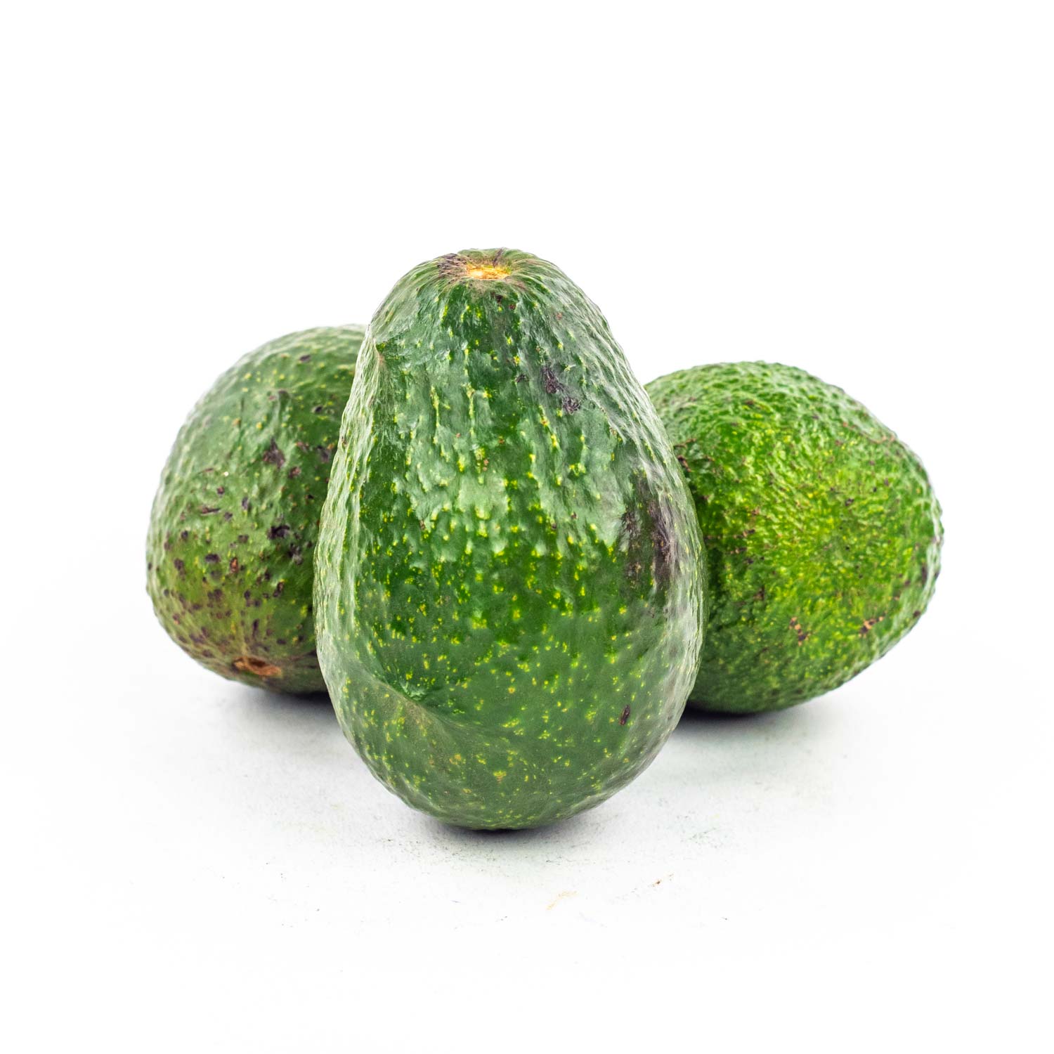  Avocat filet gros calibre 10un