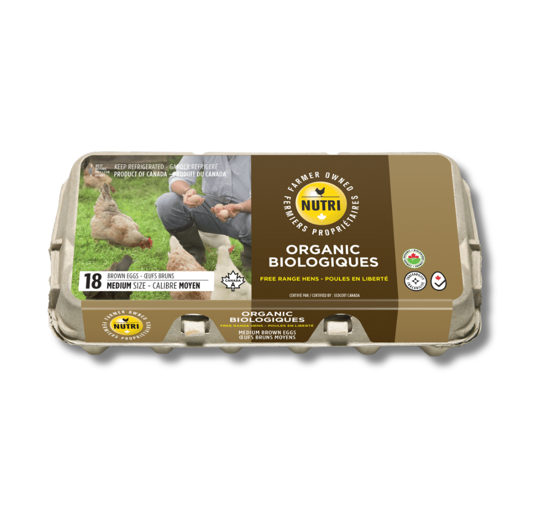 Oeuf moyen biologique brun
