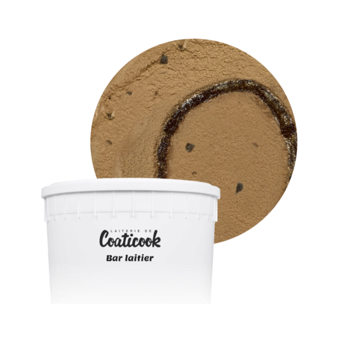 Double Choco Brownie Ice Cream