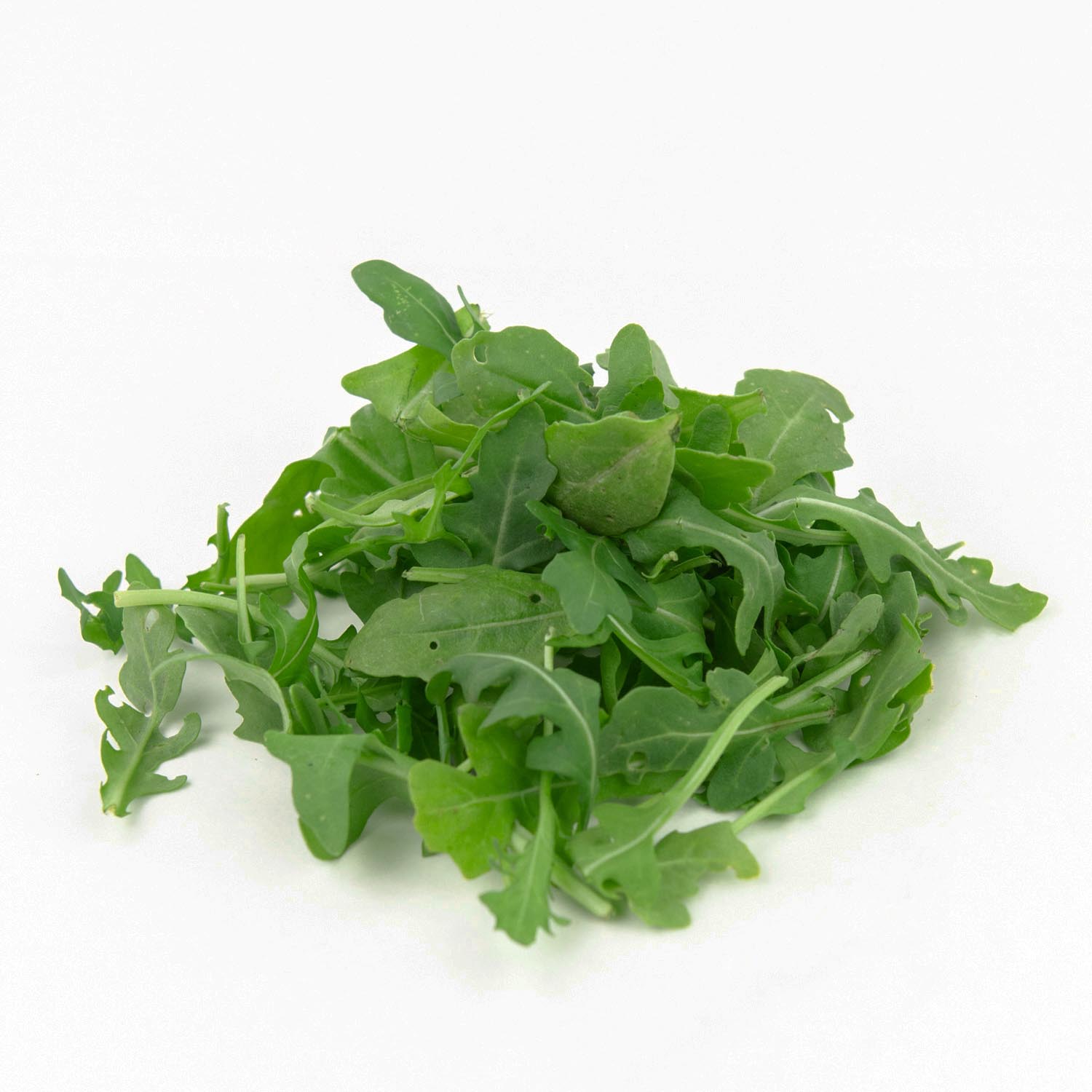 Arugula Lettuce